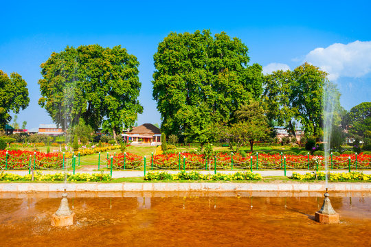 Garden in Srinagar city, India