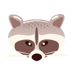 Cartoon raccoon face in flat style on white background. Animal character sticker. Racoon head vector illustration. Isolated zoo party mask. Childrens simple clip art, front view