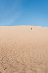 A travel girl is going on the top of a sand dune back to the camera. A traveler in a black hat and...