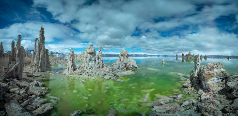 An algae rich green glowing Mono Lake in Northern California