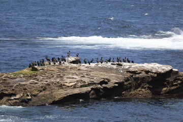 grupo