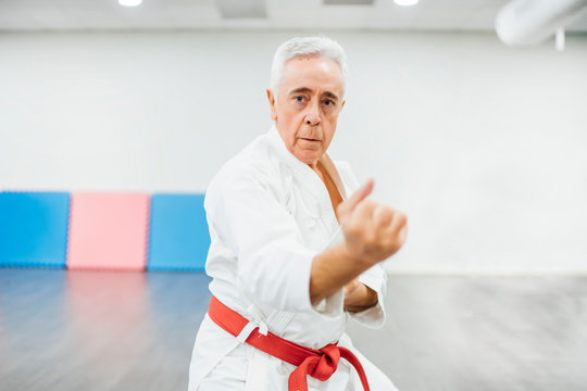 senior Karate master performing combat techniques