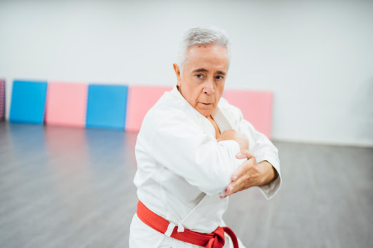 senior Karate master performing combat techniques