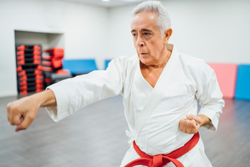 Portrait of karate master performing combat techniques