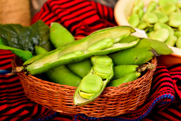 fresh vegetables in a basket