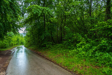 Obraz premium The municipality of Appiano in South Tyrol in northern Italy.