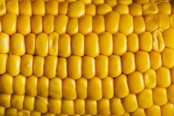Close up sur les grains d'un épi de maïs à cuire au barbecue