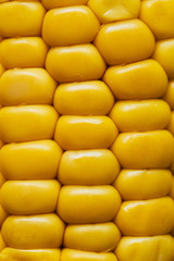 Close up sur les grains d'un épi de maïs à cuire au barbecue