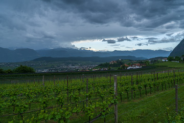 The municipality of Appiano in South Tyrol in northern Italy.