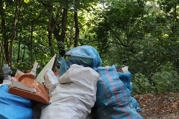 Śmieci w lesie - obrazy, fototapety, plakaty