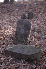 Old Jewish Cemetery in Będzin