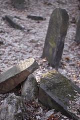 Obraz premium Old Jewish Cemetery in Będzin