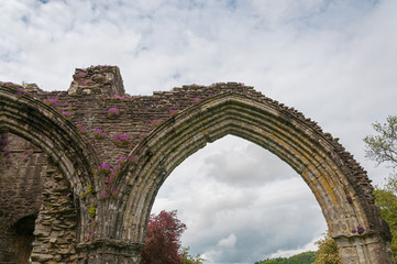 Gothic arch in the Inchmahome Priory