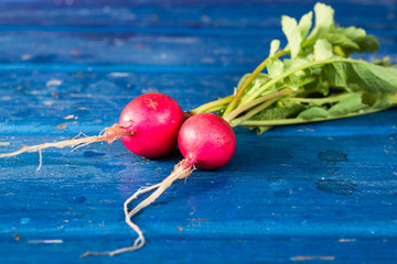 Two red radishs on a blue table