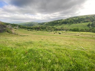 rural landscape with grass, flowers, and trees in the distance, set against a heavy clouded sky, in Shibden Valley, near Halifax UK