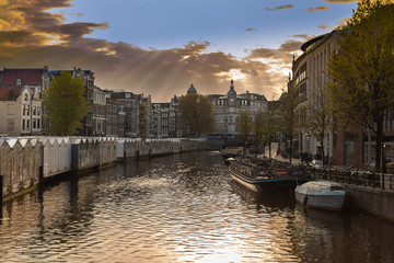 Fototapeta premium Amsterdam - Bloemenmarkt 