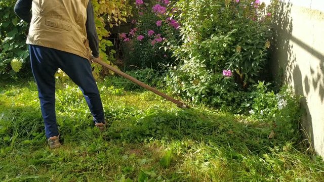 A man mows the lawn in the traditional way. Shot from the back, a man, a scythe, legs, grass, garden, house in the frame. Real time, contains people, summer, haymaking, hay harvesting, physical activi