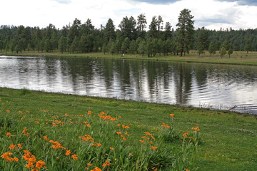 Hiking along Hawley Lake Arizona