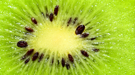 Slice of kiwi fruit on a full frame. Fresh juicy fruit slice closeup.