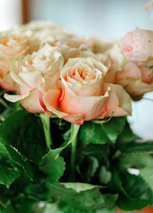 Beige roses. Fresh blooming flowers in a flower shop