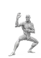 muscleman anatomy heroic body doing a karate pose two in white background