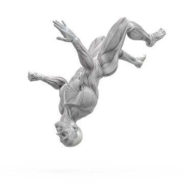 Muscleman Anatomy Heroic Body Parkour Jump Pose Three In White Background