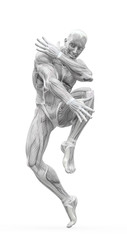 Fototapeta na wymiar muscleman anatomy heroic body dancing pose three in white background