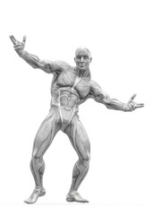 Fototapeta na wymiar muscleman anatomy heroic body dancing pose two in white background