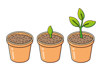 Flowerpot with potting soil, sprout and green plant isolated. Gardening, seedling growth.