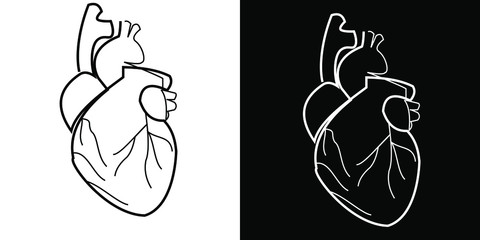 Outline vector drawing of a human heart. Illustration with simple lines in two versions - black on a white background and white on a black background. For design and creativity