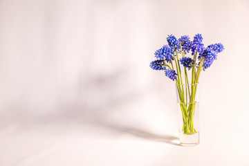 Blue flowers are on the white table 