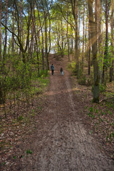 Fototapeta premium Rear view of two children walking in a forest