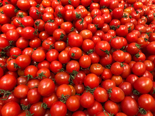 Vegetarian food concept - close up sweet red tomatoes