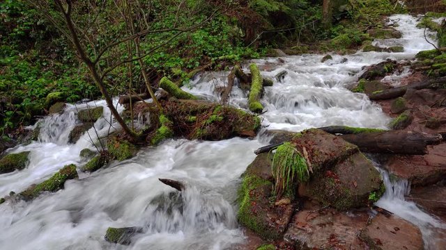 A small stream in a ravine has swelled to a raging whitewater after heavy rains