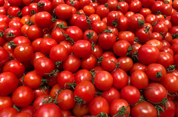 Vegetarian food concept - close up sweet red tomatoes