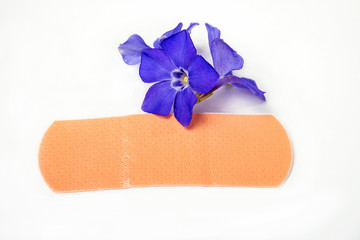 close up bandage strip on purple myrtle flowers isolated on white