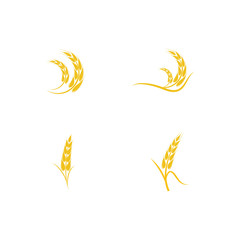 Set Wheat Logo Template vector