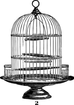 Vector Sketch of a Wire Bird Cage, Vector Sketch of a 19th century engraving