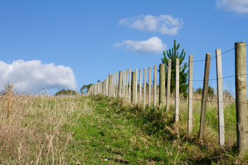Fototapeta na wymiar A rural boundary fence.