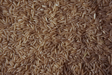 Textura de arroz integral orgánico natural seco