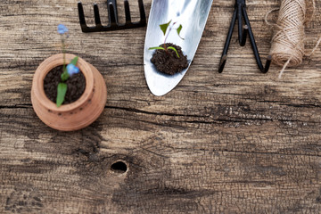 Gardening tools, rake, tourniquet, shovel and scissors on vintage wooden table. Spring in the garden concept background with free text space.