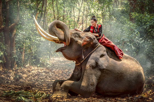 Beautiful Asian woman wearing traditional clothes with an elephant in the forest.