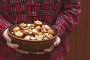 Mushroom Suillus over Wooden Background. Spring Mushrooms. Suillus edulis over Wooden Dark Background, close up on wood rustic table. Cooking delicious organic mushroom. Gourmet food