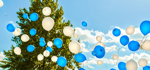 Blue and white flying balloons against blue sky with clouds and green tree on sunny day. Banner. Holiday, celebration, Children's Day, wedding, graduation concept. Peace, love, freedom, purity idea.