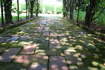 path in the park