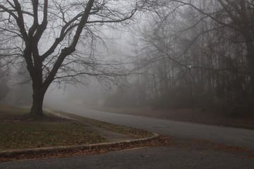 road in the fog