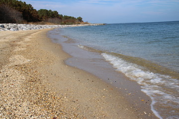 sandy beach in the morning