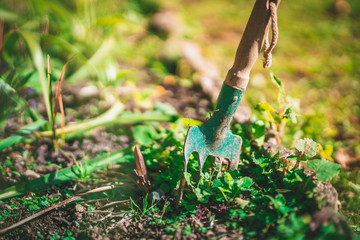 Shovel in the soil - gardening background