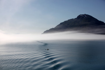 Fototapeta premium Alaska