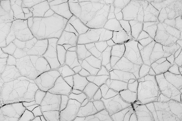 dry cracked earth